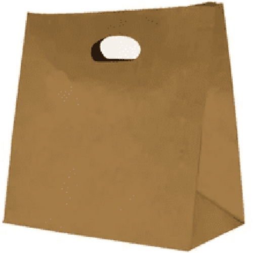castaway_paper_carry_bags_with_diecut_handle_500ctn.png