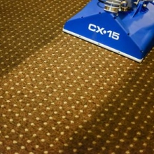 cx15_brown_carpet.jpg