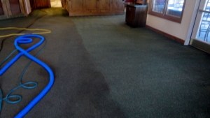 encapuclean_carpet_pic..jpg